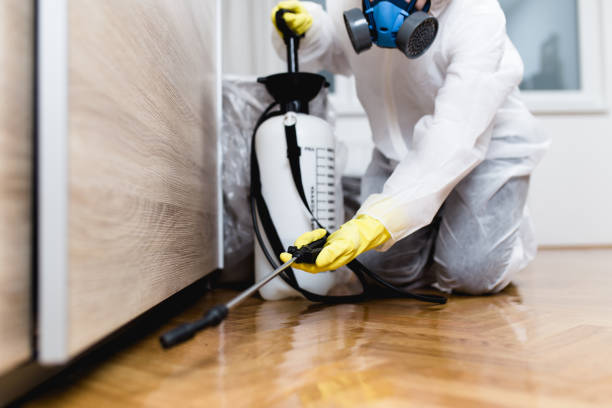 Best Pest Prevention Services  in Denham Springs, LA