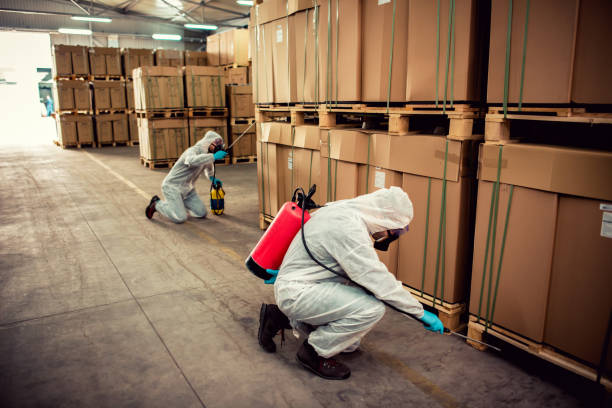 Best Exterminator Services  in Denham Springs, LA