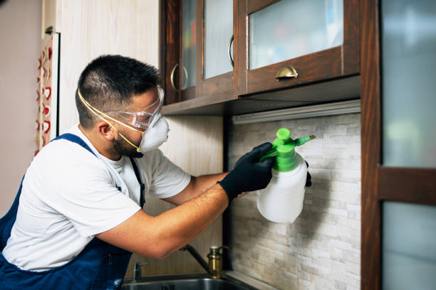 Best Pest Removal Services  in Denham Springs, LA