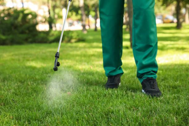 Best Commercial Pest Control Services  in Denham Springs, LA