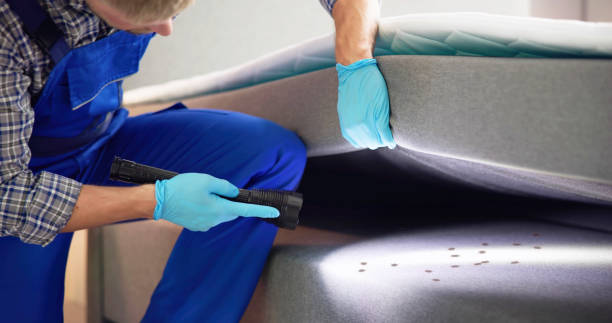 Best Pest Control Near Me  in Denham Springs, LA