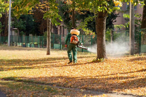 Best Cockroach Control Services  in Denham Springs, LA
