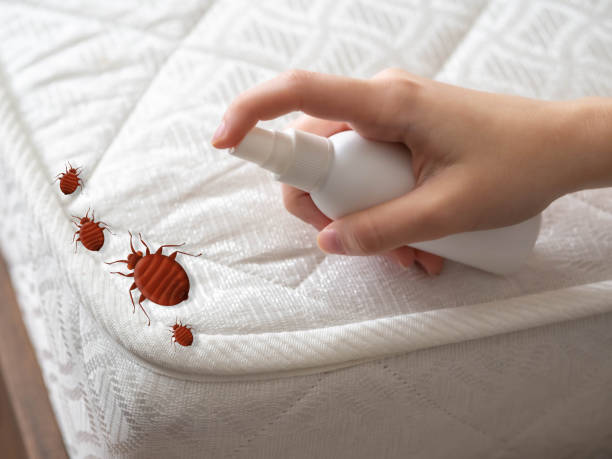 Best Bed Bug Extermination  in Denham Springs, LA