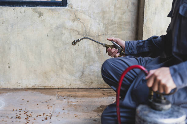  Denham Springs, LA Pest Control Pros